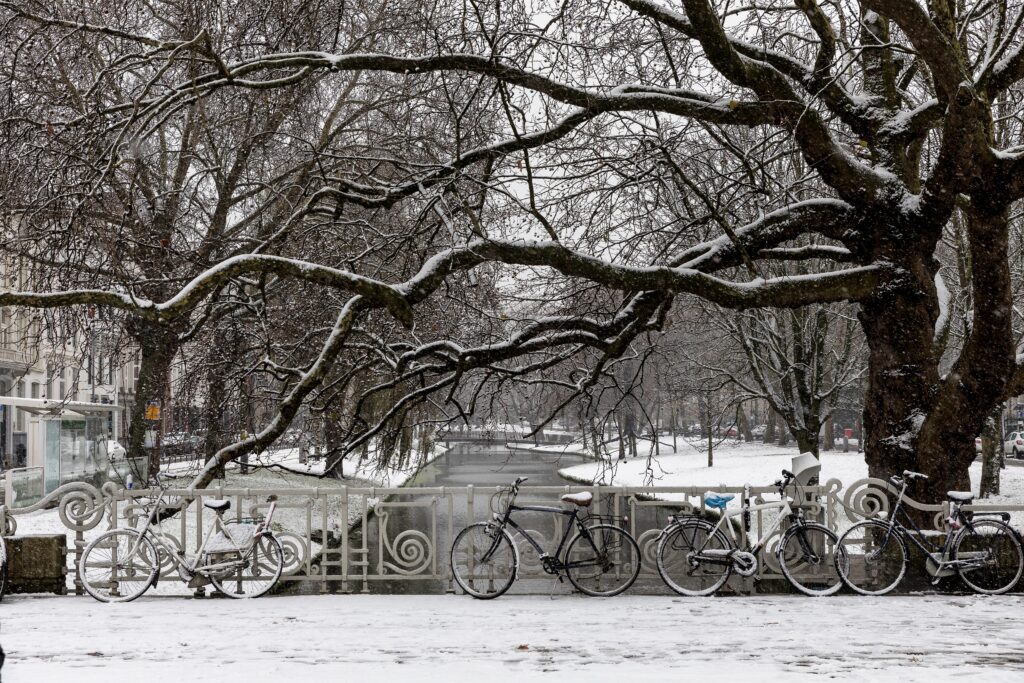 Uitzicht op de Westersingel.