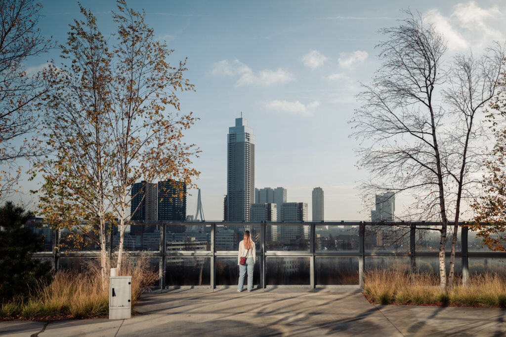 Het prachtige uitzicht vanaf het dak van het Depot van Boijmans van Beuningen.
