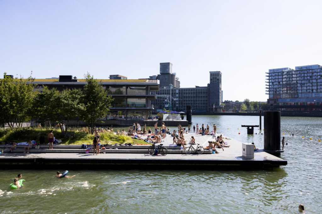 Op een zonnige dag genieten mensen van het warme weer aan de waterkant van de Rijnhaven in Rotterdam. Op een betonnen platform en op het gras liggen mensen te zonnen, terwijl anderen zwemmen in het afgebakende deel van het water. Op de achtergrond zie je het Floating Office. Verderop staan oude havengebouwen en moderne appartementen, wat zorgt voor een mix van industrieel en stedelijk karakter.